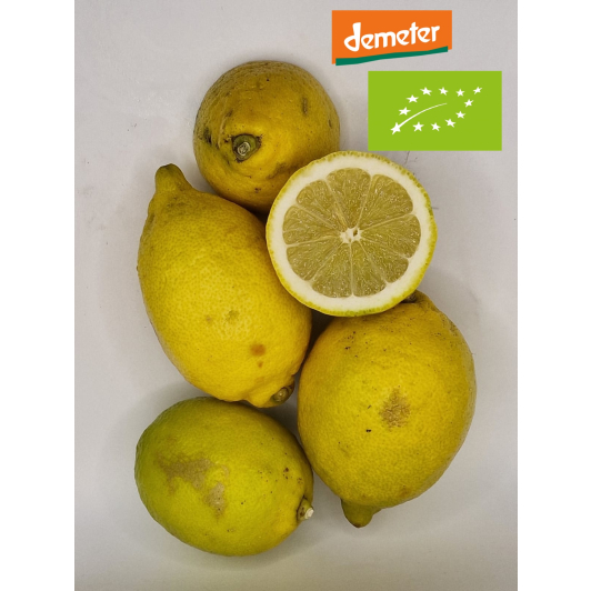Cytryna Ekologiczna Demeter 1KG