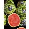 Arbuz bezpestkowy 1szt (6-8kg)