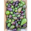 Awokado DZIKIE liso – gotowe do jedzenia, limitowana partia 1 kg