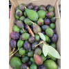 Awokado DZIKIE liso – gotowe do jedzenia, limitowana partia 1 kg