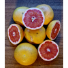 Grejpfrut żółty Niewoskowany 1KG