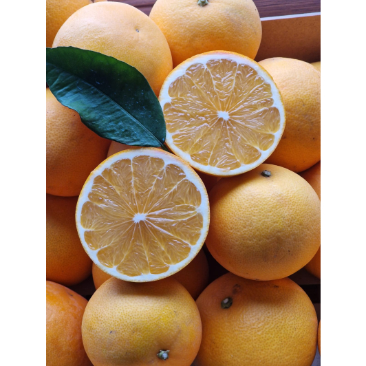 Słodki grejpfrut Alizza 1KG Słodki grejpfrut Alizza 1KG