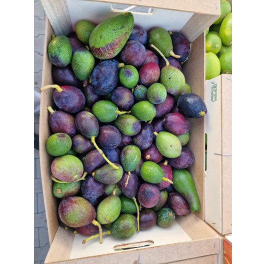 Awokado DZIKIE liso – gotowe do jedzenia, limitowana partia 1 kg
