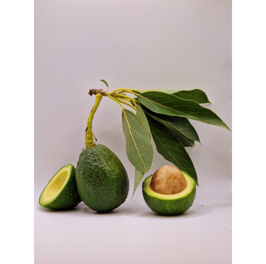 Awokado HASS prosto z drzewa 1KG Awokado HASS prosto z drzewa 1KG