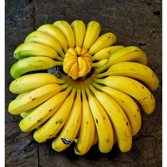 Banan Kanaryjski 1kg