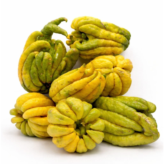 Ręka buddy 1szt Ręka buddy 1szt