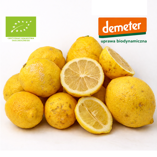 Cytryna Ekologiczna Demeter 1KG Cytryna Ekologiczna Demeter 1KG