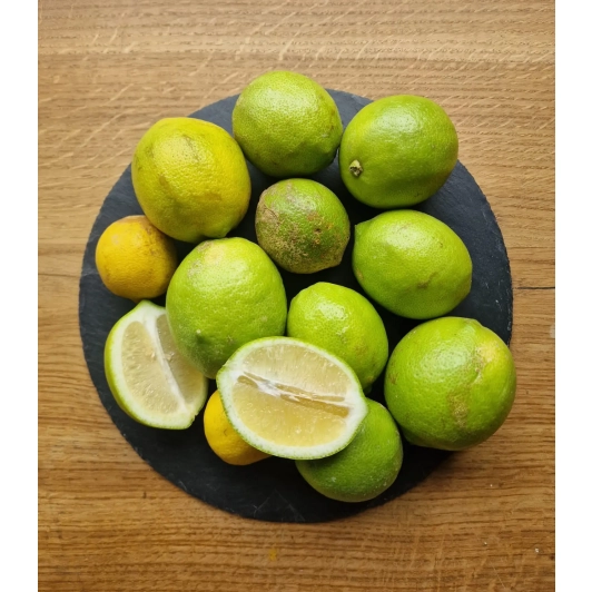 Cytryna Ekologiczna 1KG