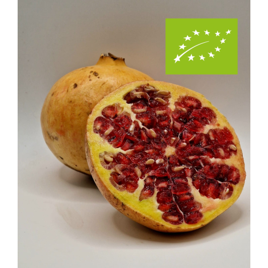 Granat Hiszpański Ekologiczny 1kg Granat Hiszpański Ekologiczny 1kg
