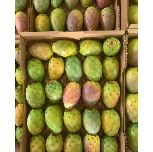 Opuncja figowa – świeży owoc kaktusa z Hiszpanii 2kg