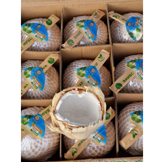 Świeży Młody Kokos (owoc)