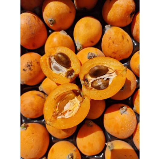 Nispero (nieśplik japoński) 500g - ekologiczny Hiszpania