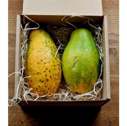 Papaja - hiszpańska - około 2kg