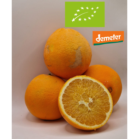 Pomarańcza Ekologiczna Demeter 1KG