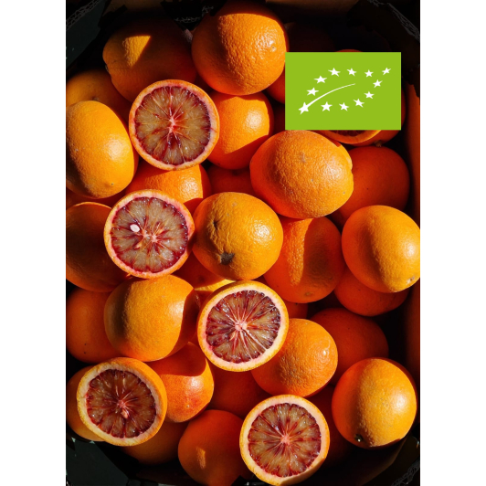 Pomarańcza Czerwona Sanguinelli Ekologiczna - Hiszpańska Krew