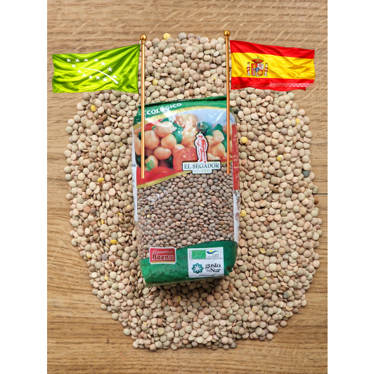 Brązowa soczewica ekologiczna z Hiszpanii Pardina BIO 500 g