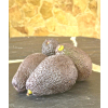 Sezonowa mieszanka cytrusowa 5kg
