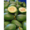 Awokado HASS prosto z drzewa 1KG Awokado HASS prosto z drzewa 1KG