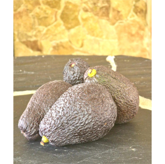 Sezonowa mieszanka cytrusowa 5kg