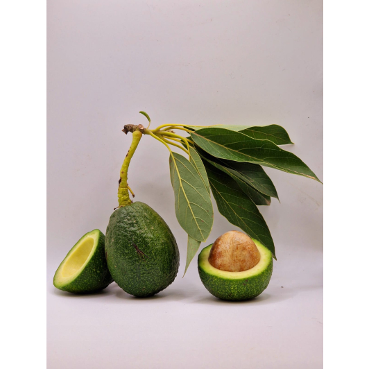 Listopadowa Paczka Egzotyczna (mandarynki / pomarańcze / awokado ) Listopadowa Paczka Egzotyczna (mandarynki / pomarańcze / awokado )