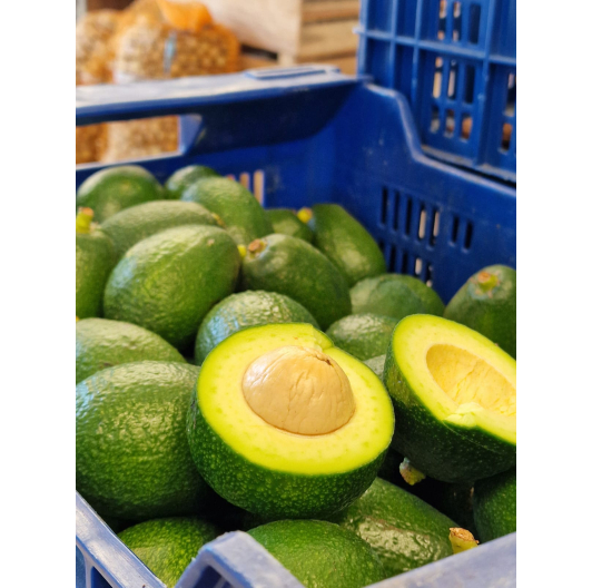 Awokado HASS prosto z drzewa 1KG Awokado HASS prosto z drzewa 1KG