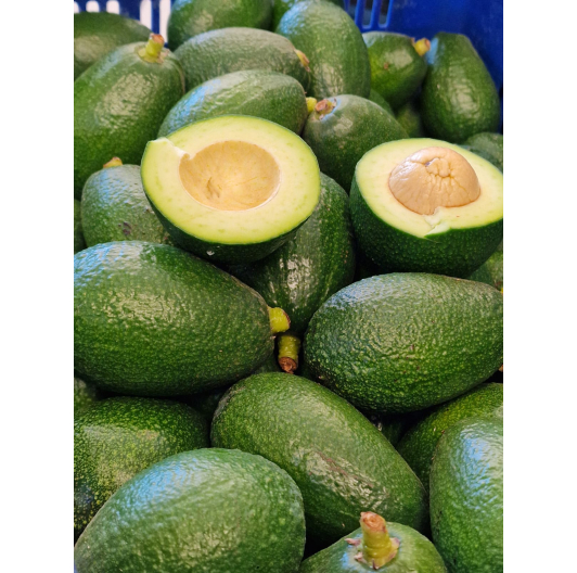 Awokado HASS prosto z drzewa 1KG Awokado HASS prosto z drzewa 1KG