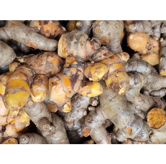 Korzeń kurkumy 100g Korzeń kurkumy 100g