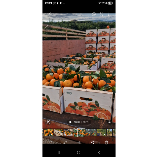 Mandarynka ORRI Niewoskowana Premium 1KG