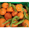 Mandarynka Premium 5KG