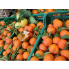 Mandarynka Premium 5KG