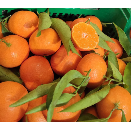 Mandarynka Premium 5KG