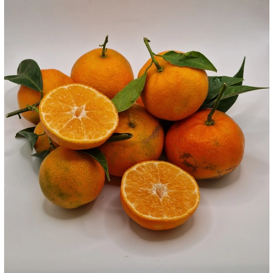 Mandarynka Niewoskowana Premium Clemenules 1KG