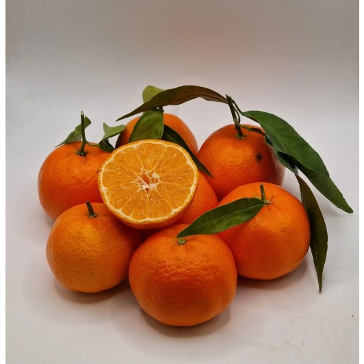 Mandarynka Niewoskowana Premium Clemenules 1KG