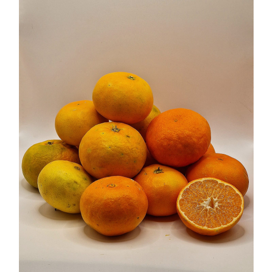 Mandarynka Niewoskowana Primosol 1KG