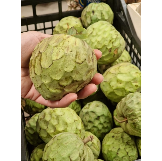 Czirimoja (Cherimoya) Hiszpańska 1kg
