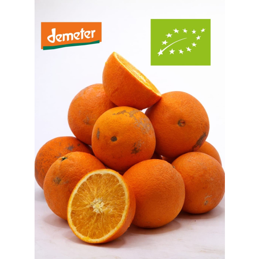 Pomarańcza Ekologiczna Demeter 10KG Pomarańcza Ekologiczna Demeter 10KG
