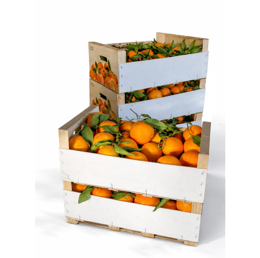 Skrzynka Pomarańczy (Niewoskowana) 10KG