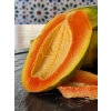 Papaja, Papaya, Melonowiec Właściwy
