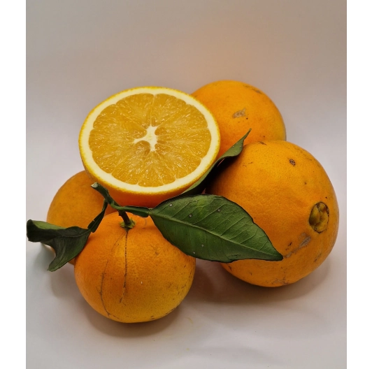 Pomarańcza Navelina Niewoskowana Premium 1KG Pomarańcza Navelina Niewoskowana Premium 1KG