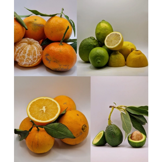 Listopadowa Paczka Egzotyczna (mandarynki / pomarańcze / cytryny / awokado ) Listopadowa Paczka Egzotyczna (mandarynki / pomarańcze / cytryny / awokado )