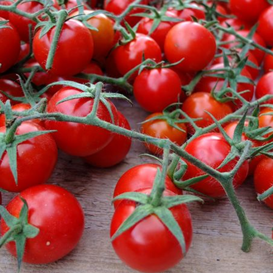 Pomidory BIO 12kg