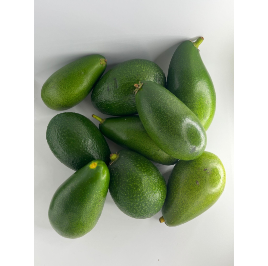 Listopadowa Paczka Egzotyczna (mandarynki / pomarańcze / awokado ) Listopadowa Paczka Egzotyczna (mandarynki / pomarańcze / awokado )