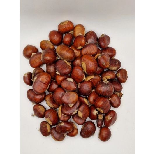Kasztan Jadalny 1kg Hiszpania Kasztan Jadalny 1kg Hiszpania